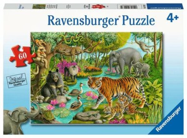 Ravensburger Lesy Indie