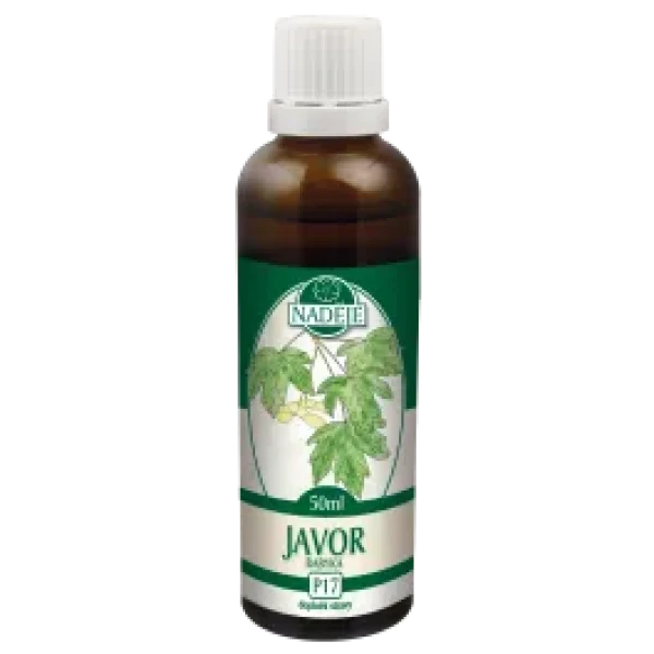 Javor Babyka (P17)