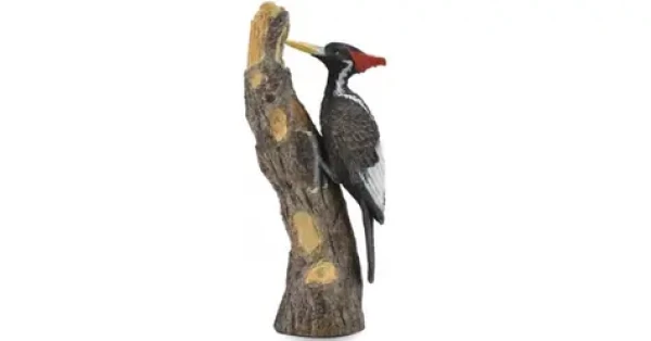 Collecta Datel knížecí