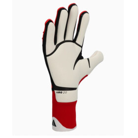 Brankářské rukavice adidas Predator Pro M IW6276 9