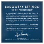 Sadowsky Blue Label Steel 45BXL