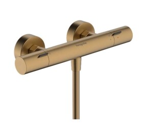 HANSGROHE - Ecostat Fine Termostatická sprchová baterie, kartáčovaný bronz 13324140