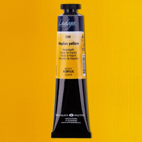 Nevskaya Palitra Ladoga 2204209 Akrylová barva 46 ml, žlutá neapolská 209