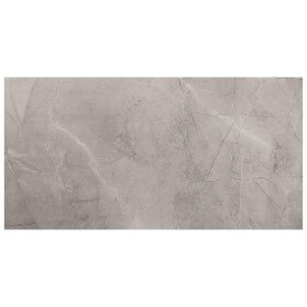 Dlažba Remos Grey 59,8/119,8
