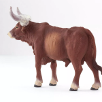 Safari Ltd. Safari Ltd. Figurka - Watusi