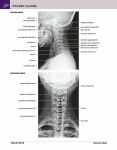 Netterův anatomický atlas člověka