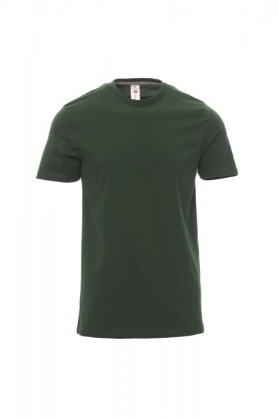 Pánské triko Payper SUNRISE Barva: Zelená, Velikost: L (000947033707000L)