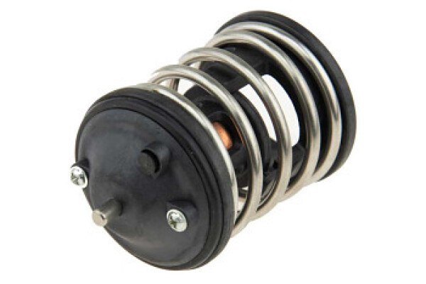 PIETRO Termostat BMW 1(E88,E81) 3(E93,F34) 5(F10) X1(E84) X3(F25) diesel