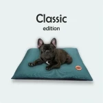 Red Ant Polštář Pelech pro psy smaragdově zelená - velikost S (BG-VAN-0002-SMA-SXXXX)