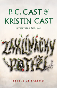 Zaklínačky potíží (poškozené) - Kristin Castová, P. C. Castová