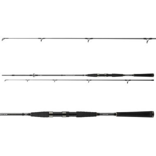 Daiwa Prut Seahunter X 2,7m 40-120g (11533-275)