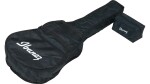 Ibanez V50NLJP Natural