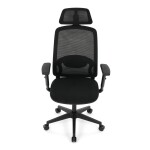 Kancelářská židle, synchronní mechanismus, černá síťovina, KA-S2176 BK