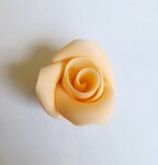 Dortisimo Cukrová růže malá broskvová (49 ks)