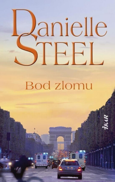 Bod zlomu (slovensky) - Danielle Steel
