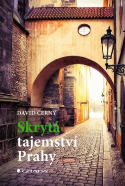 Skrytá tajemství Prahy - David Černý - e-kniha
