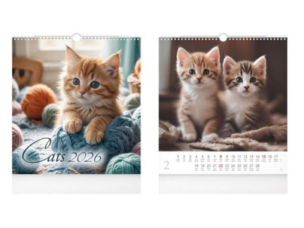 Cats 2026 - nástěnný kalendář