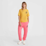 O'Neill Future Surf Society Regular T-Shirt W 92800613485 s