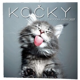 Kočky 2027 - nástěnný kalendář