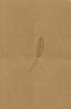 Bible21 – kapesní