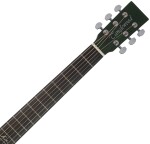 Tanglewood TA4CE GR