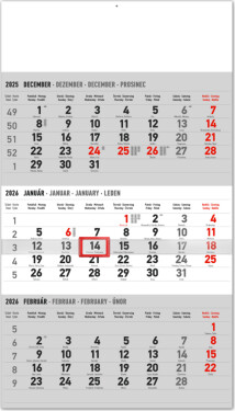 NOTIQUE Nástenný kalendár 3-mesačný štandard sivý – so slovenskými menami 2026, 29,5 x 43 cm