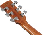 Ibanez PC34MHCE NT