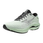 Běžecké boty Mizuno WAVE INSPIRE 20 J1GC244408 Velikost obuvi v EU: 42