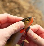 Fox Rage Gumová nástraha Slick Eel UV Marble,Fox Rage Gumová nástraha Slick Eel UV Marble