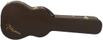 Takamine P3NY