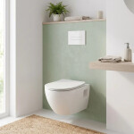 WC závěsné SAT Project včetně prkénka softclose, zadní odpad SATWCPRO010RREXP SATWCPRO010RREXP