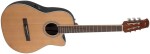 Applause AB24CII Mid Cutaway Nylon Natural Satin