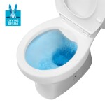 Mereo WC kombi, RIMLESS, zadní odpad s armaturou VSD99