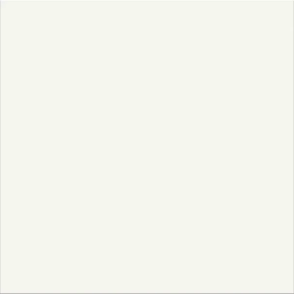 Dlažba White 29,8/29,8