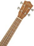 Lanikai ACS-T