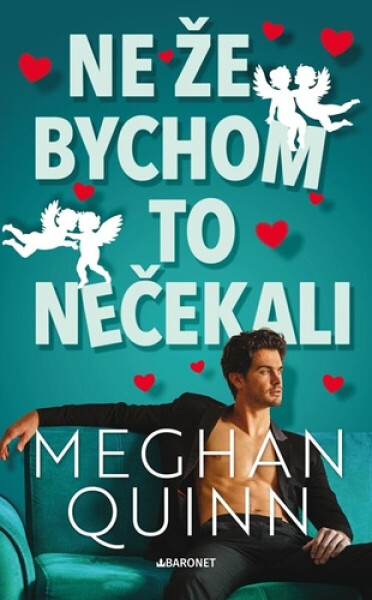Ne že bychom to nečekali (poškozená) - Meghan Quinn
