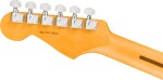 Fender American Professional Stratocaster RW BLK