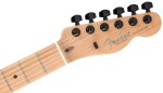 Fender LE American Professional II Sandblasted Telecaster HH EB SMT
