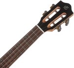 Flight IRIS TINTA CONCERT TDB