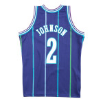 Mitchell & Ness Pánský dres Charlotte Hornets NBA Larry Johnson #2 Alternate Swingman - Fialová Velikost: M
