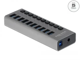 Delock Externí SuperSpeed USB Hub šedá / 10 portů (63670)