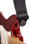 D'Addario