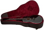 Taylor 214ce-BLK Plus