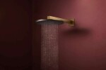HANSGROHE - Raindance Alive S Hlavová sprcha, průměr 30 cm, EcoSmart, kartáčovaný bronz 24521140