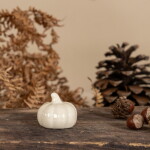 Storefactory Podzimní dekorace dýně Tranebo Vanilla Medium, krémová barva, keramika
