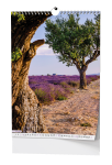 Nástěnný kalendář 2026 Baloušek - Provence