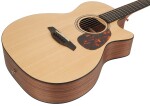 Furch Blue OMc-SW CNR Active