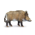 Safari Ltd. Safari Ltd. Figurka - Kanec