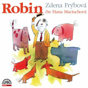 Robin - Zdena Frýbová - audiokniha