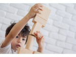 PlanToys PlanToys Přírodní stavebnice (50 ks)